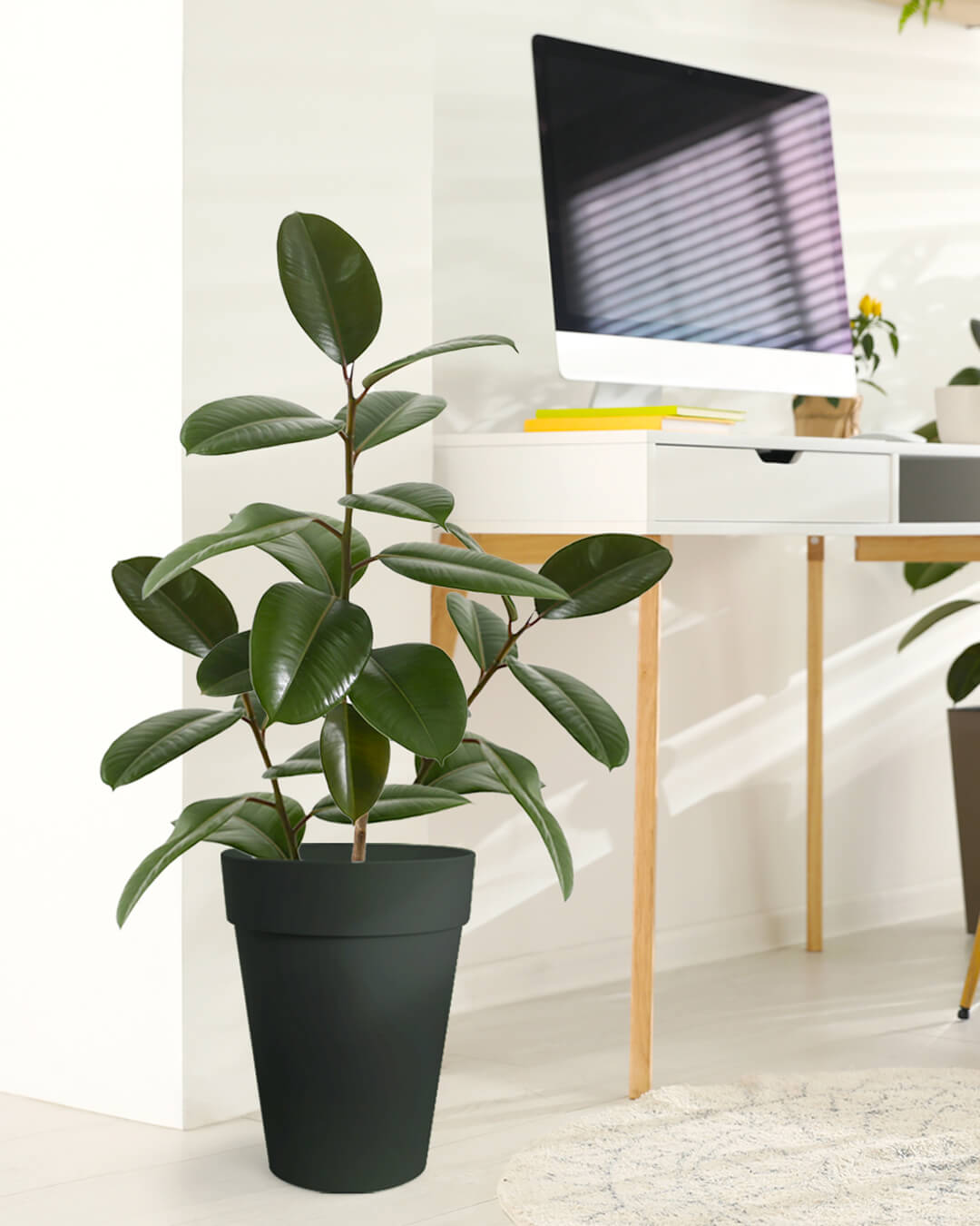 BABA ZEN GREY COLOUR FLOWER POT IN STDY ROOM-1