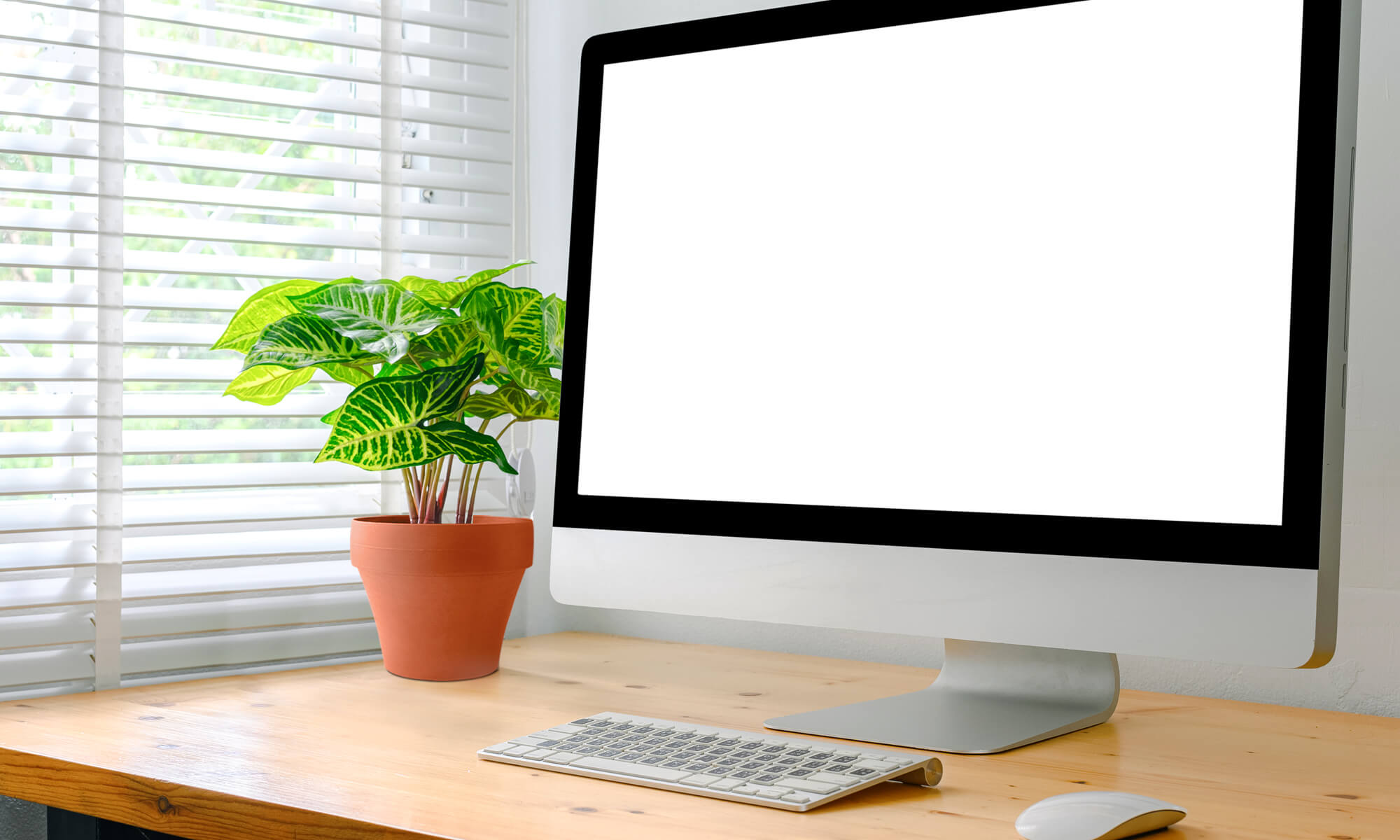 BABA TABLE TOP COTTA COLOUR FLOWER POT IN STDY ROOM