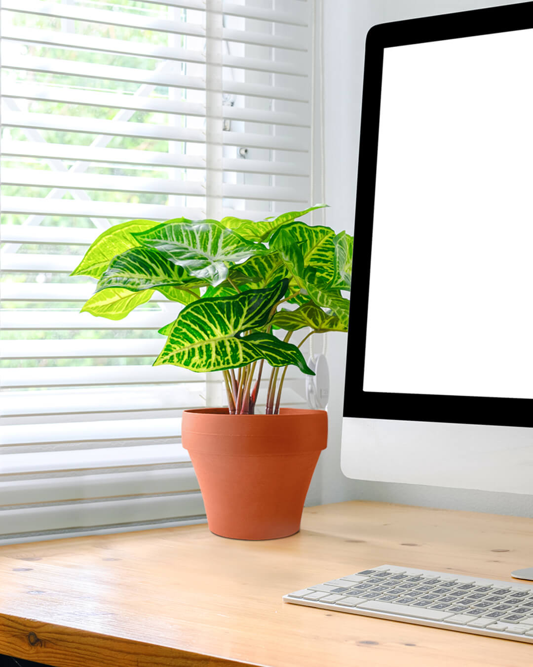 BABA TABLE TOP COTTA COLOUR FLOWER POT IN STDY ROOM-1