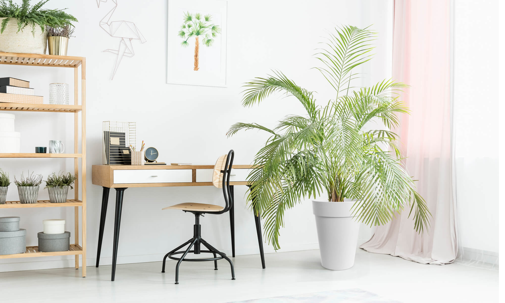 BABA WHITE COLOUR FLOWER POT IN STDY ROOM-1