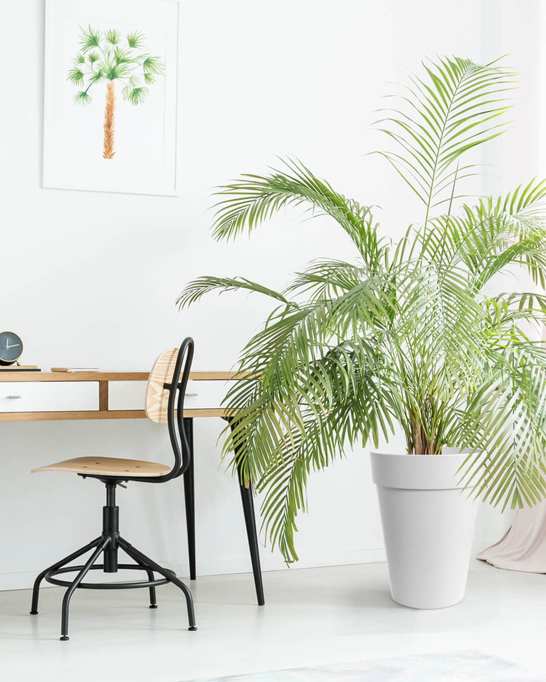 BABA WHITE COLOUR FLOWER POT IN STDY ROOM