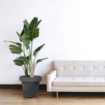 Baba biodegradable indoor flower pot MJ-400 zen grey beside sofa