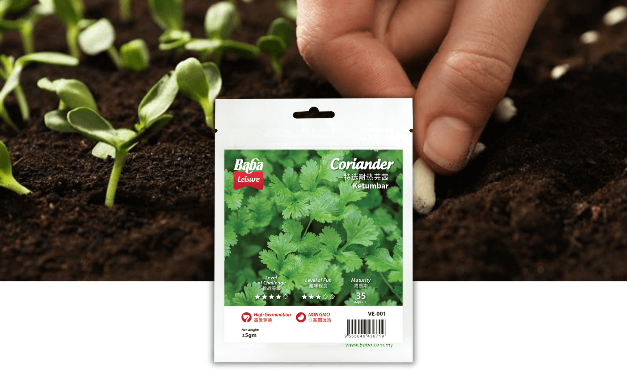 BABA VE-001 CORIANDER SEED PRODUCT IMAGE