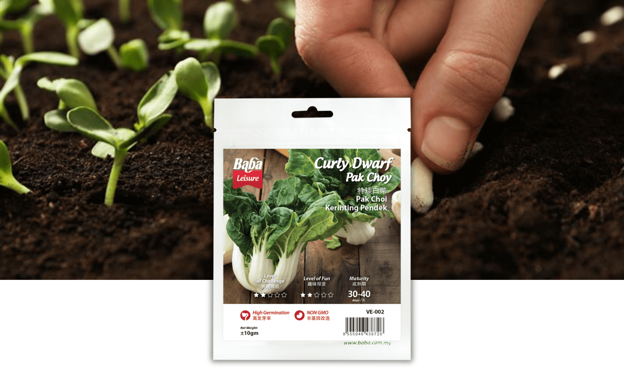 BABA VE-002 CURLY DWARF PAK CHOY SEED PRODUCT IMAGE