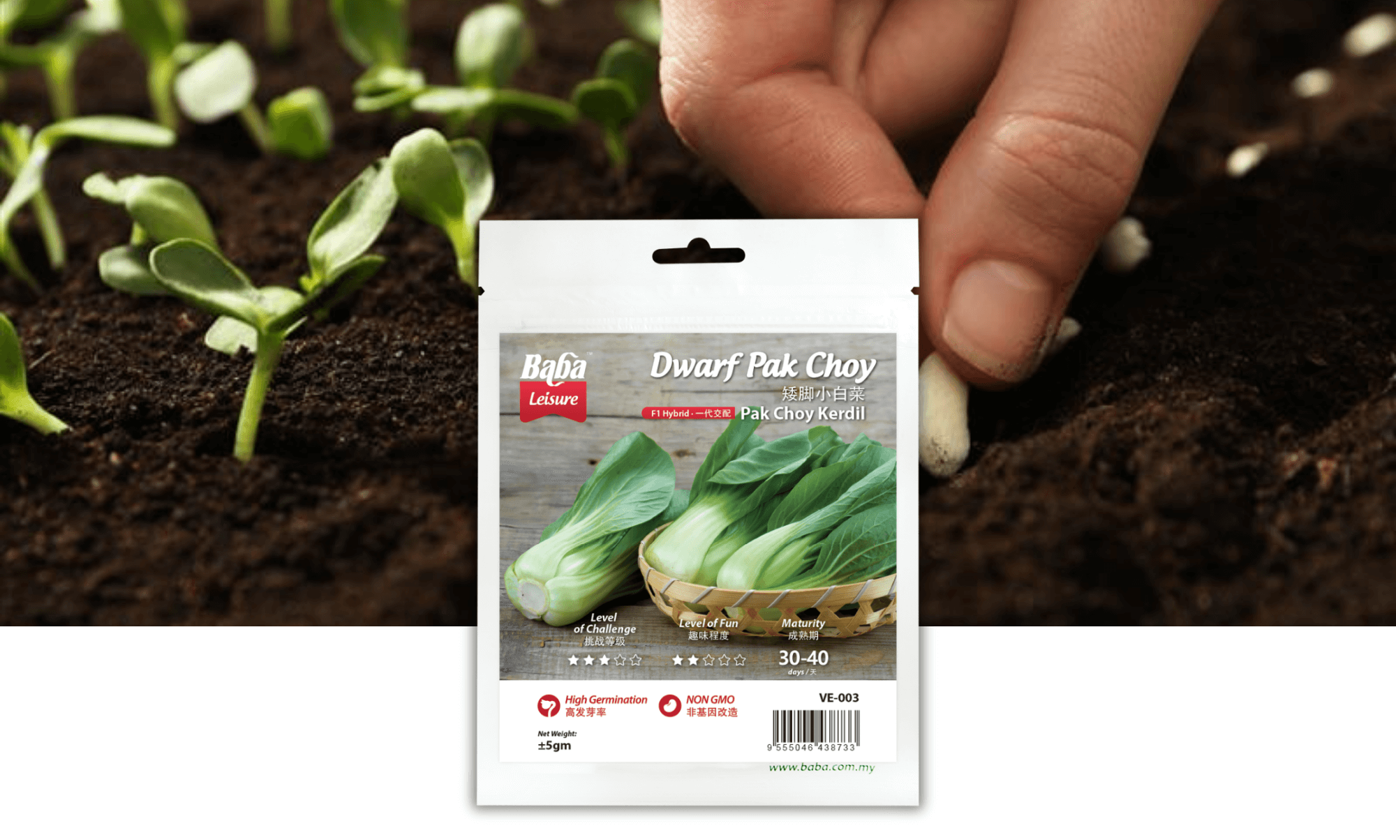 BABA VE-003 DWARF PAK CHOY SEED PRODUCT IMAGE