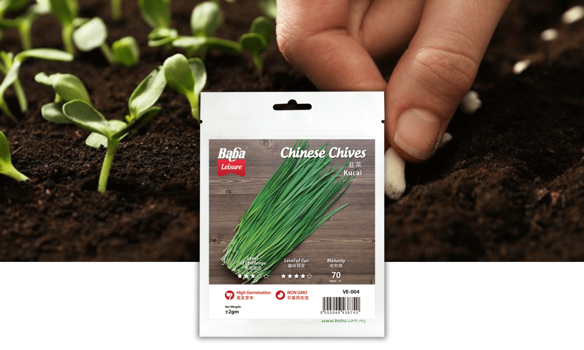 BABA VE-004 CHINESE CHIVES SEED PRODUCT IMAGE