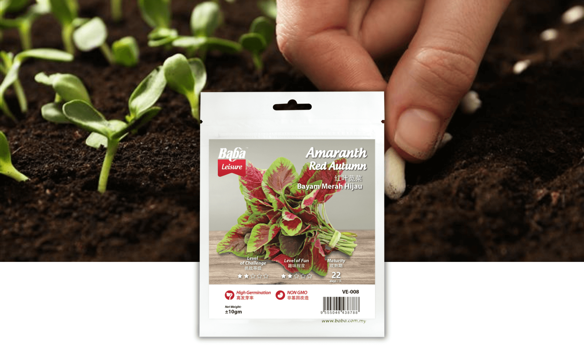 BABA VE-008 AMARANTH RED AUTUMN SEED PRODUCT IMAGE