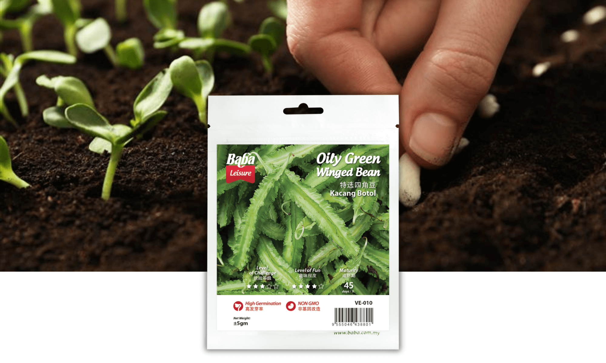 BABA VE-010 OILY GREEN WINGED BEAN SEED PRODUCT IMAGE