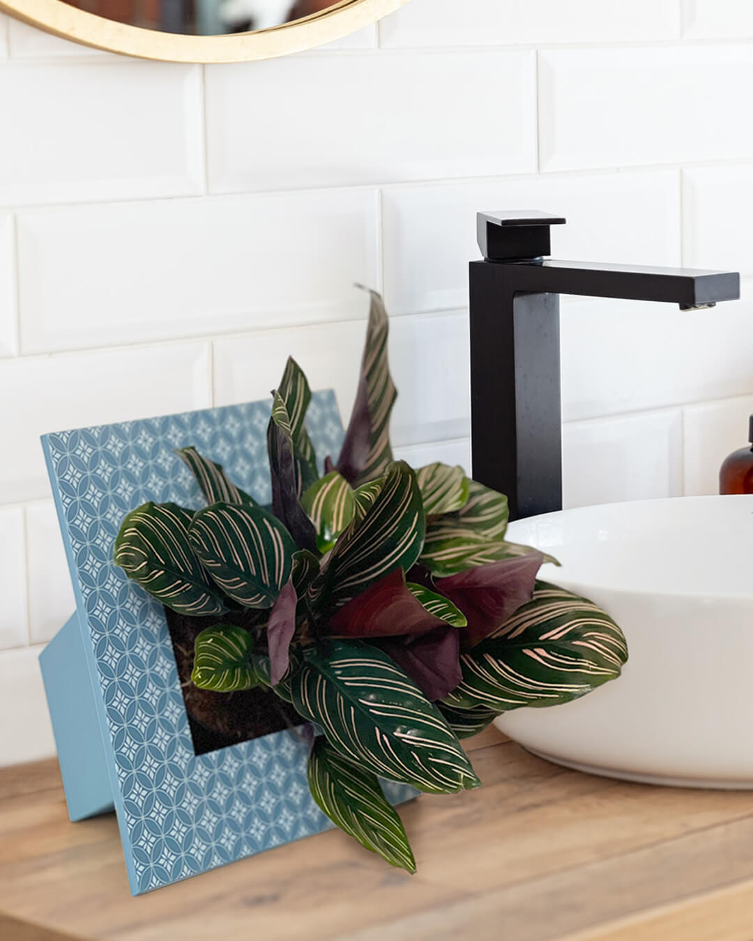 BABA FRAME POT BLUE COLOUR IN WASHROOM DECORATION POT-1