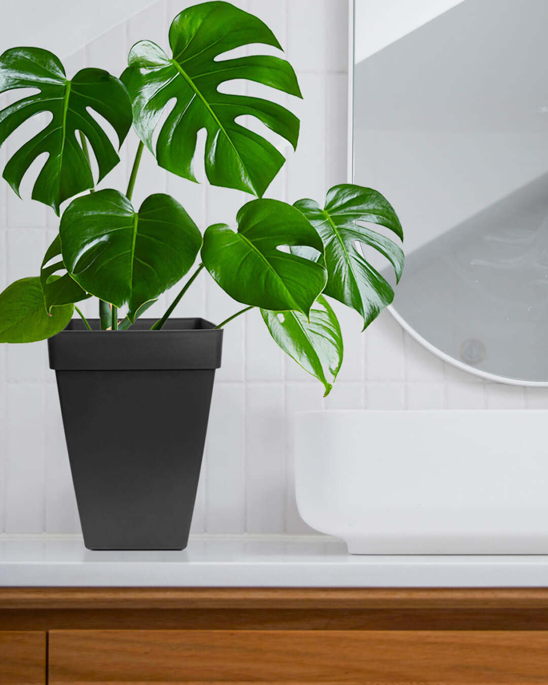 BABA SQUARE TABLE TOP FLOWER POT IN WASHROOM DECORATION-1