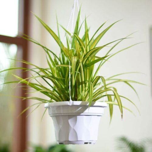 xr:d:DAFIWdMlOb4:414,j:35798064263,t:22092006