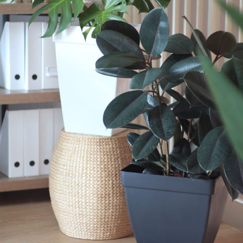 BABA ZEN GREY COLOUR SQUARE FLOWER POT DECORATION